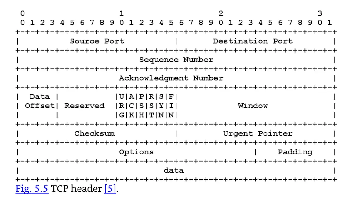 TCP header